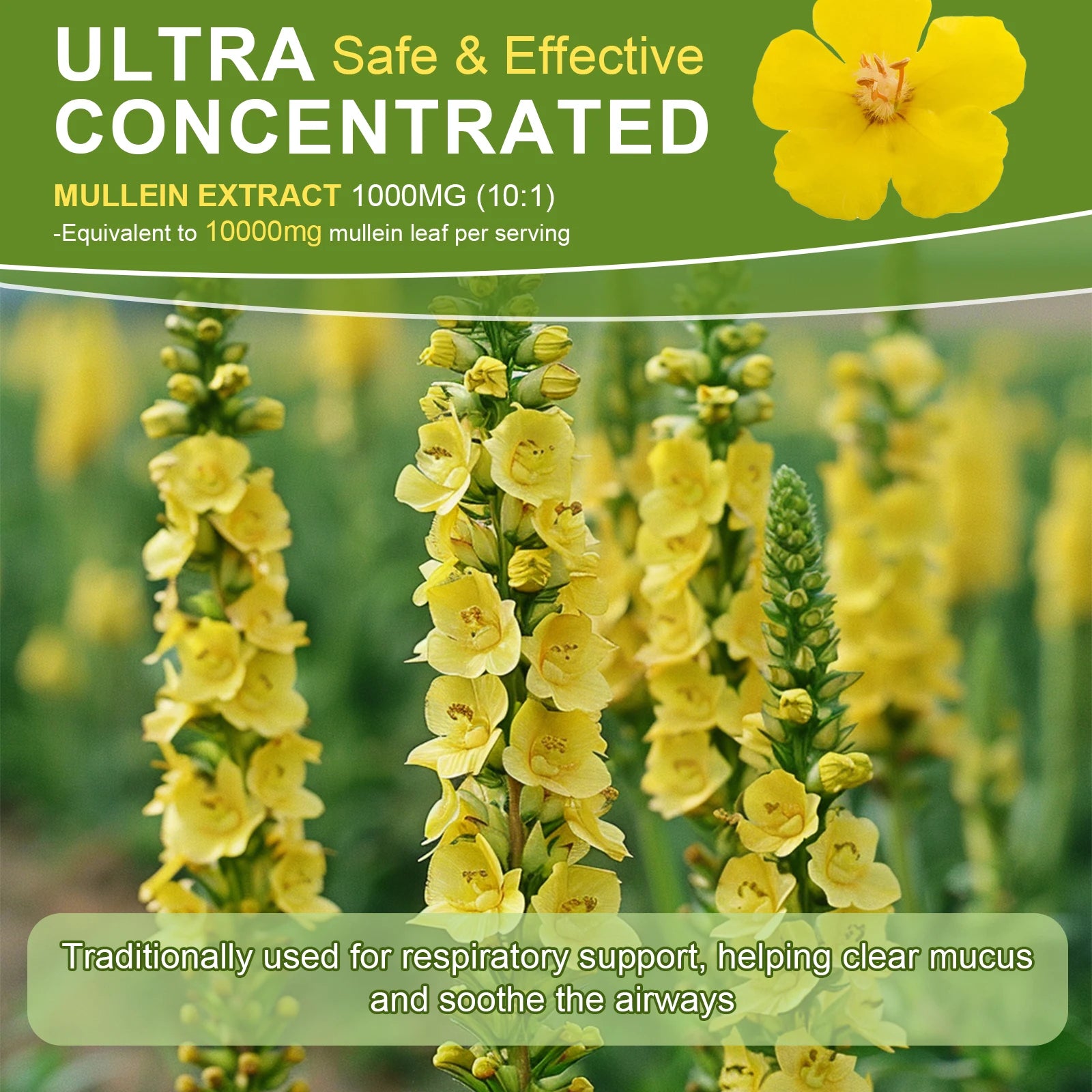 Lukaree Mullein Extract Drop 98% MAXIMIZE ABSORPTION Clean Lungs Relaxed Breathing Strong Immunity Digestion System Support
